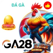 ok8386 Game 06